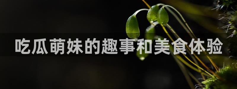吃瓜胃酸怎么办