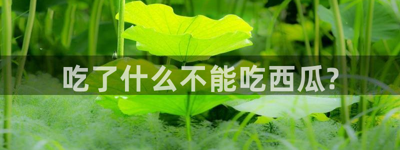 各种网红爆料吃瓜：吃了什么不能吃西瓜?