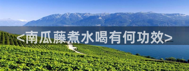51cg今日吃瓜热门：<南瓜藤煮水喝有何功效>