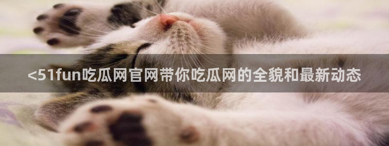 51cg吃瓜网每日吃瓜：<51fun吃瓜网官网带你吃瓜网的全貌和最新动态