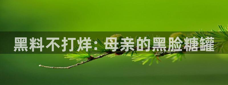 吃瓜下载：黑料不打烊: 母亲的黑脸糖罐