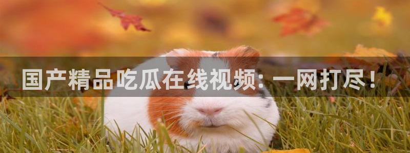 吃瓜新闻：国产精品吃瓜在线视频: 一网打尽！