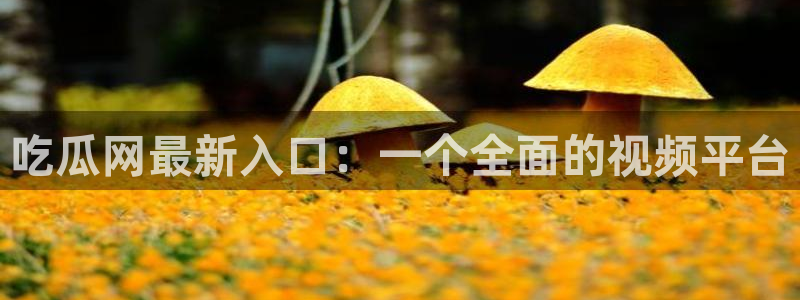 高血糖可以吃瓜吗：吃瓜网最新入口：一个全面的视频平台