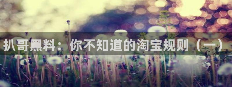 718.sⅹ 吃瓜：扒哥黑料：你不知道的淘宝规则（一）