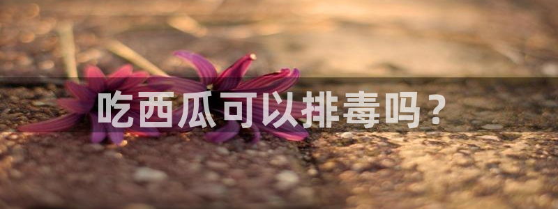吃瓜小说