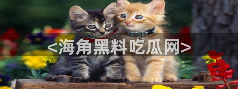 51吃瓜全网更新最快点