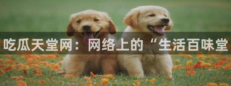 51cg今日吃瓜热门大瓜：吃瓜天堂网：网络上的“生活百味堂