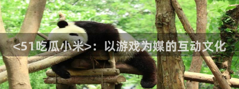 51吃瓜今日必吃刀刀：<51吃瓜小米>：以游戏为媒的互动文化